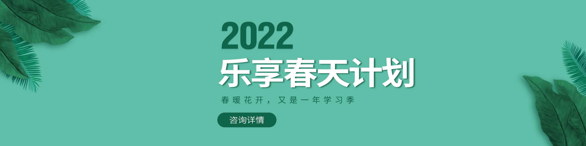 操鸡视频软件大全免费下载