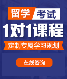 操屄视频网留学考试一对一精品课